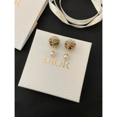 Christian Dior Earrings